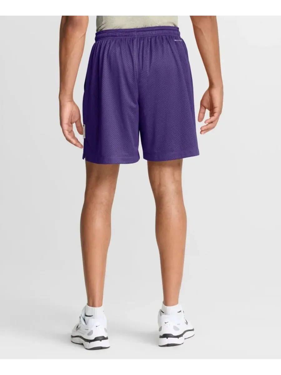 Шорты с двумя сторонами Dri-FIT Minnesota Vikings Purple/Platinum Nike — изображение 5 из 5, фиолетовый платиновый