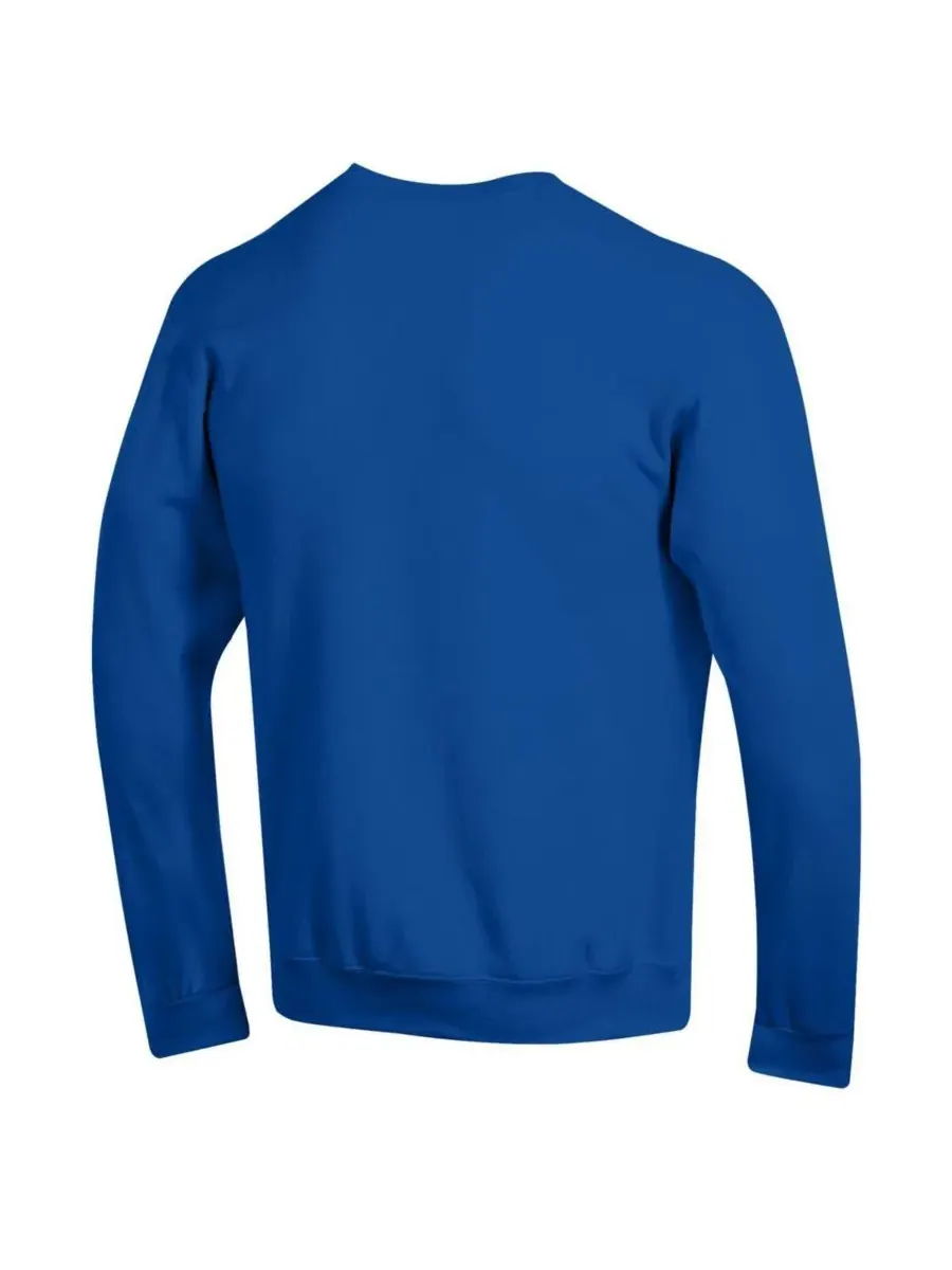 Champion Мужская толстовка Royal Duke Blue Devils с логотипом Arch Over Logo — изображение 2 из 3, королевский