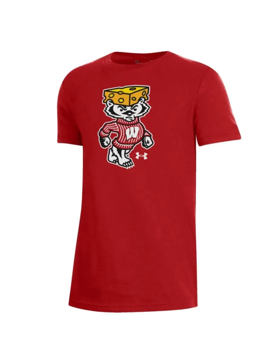 Футболка с принтом Wisconsin Badgers 2026 Lambeau Field Collection Bucky Cheesehead Under Armour — изображение 3 из 3