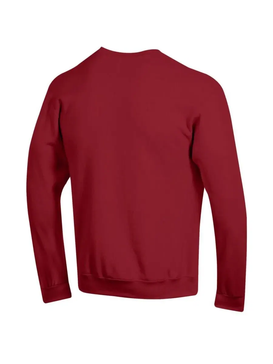 Мужская толстовка Cardinal Stanford Cardinal Basic Arch из флиса Champion — изображение 2 из 3, красный