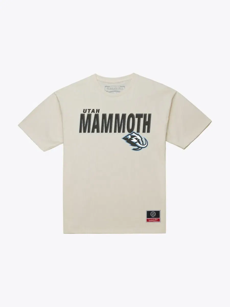 Футболка с длинным рукавом Mitchell & Ness Core Plus