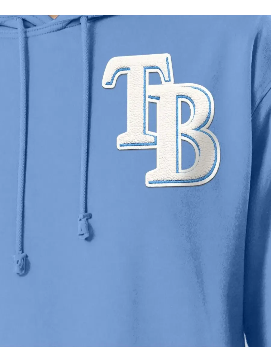 Худи с капюшоном Reverse Weave с принтом Tampa Bay Rays Champion — изображение 4 из 4, светлый синий