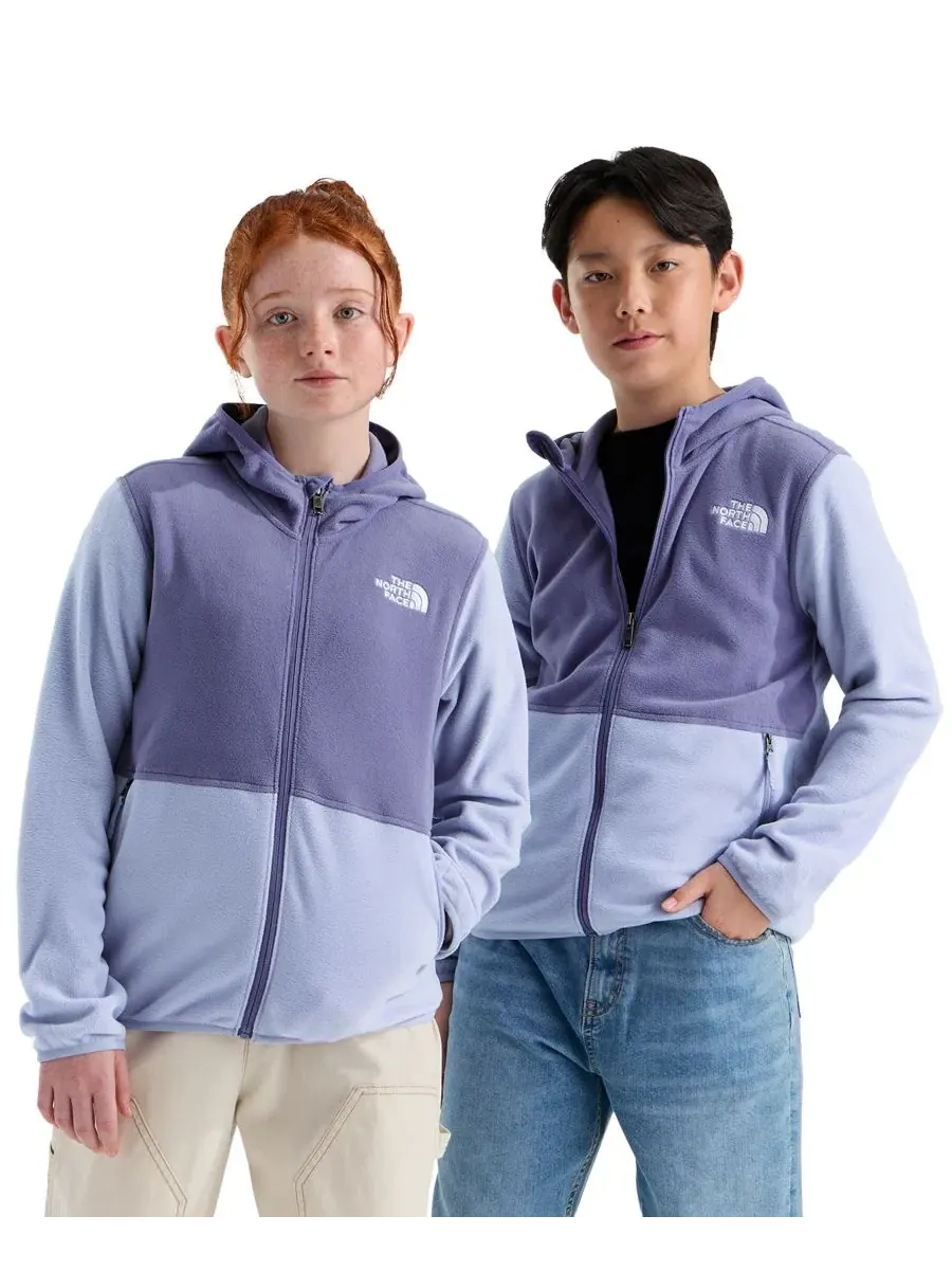 Куртка-худи с капюшоном, на молнии, с принтом The North Face, Grounded Plum Pale Plum