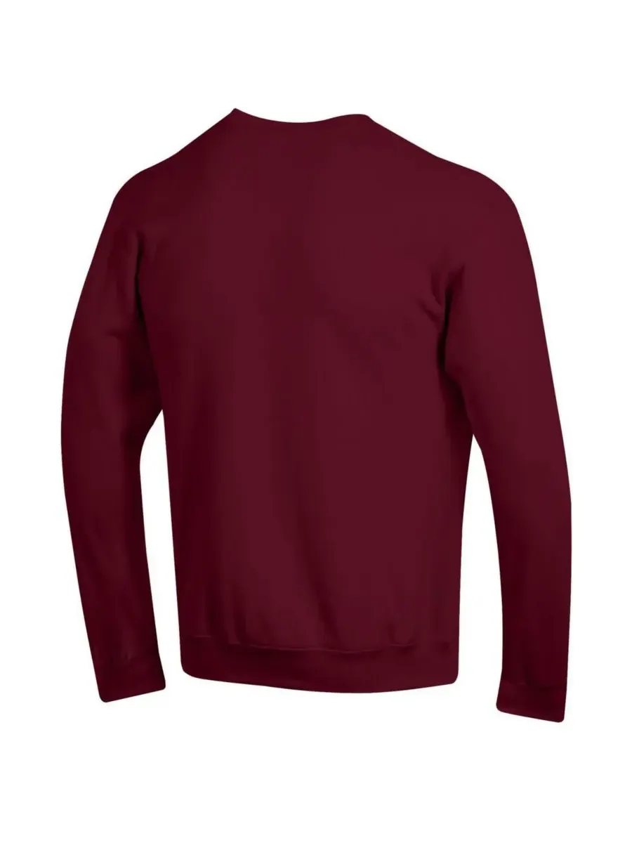 Champion Мужская флисовая толстовка Crimson Harvard Crimson Basic Arch — изображение 3 из 3, красный