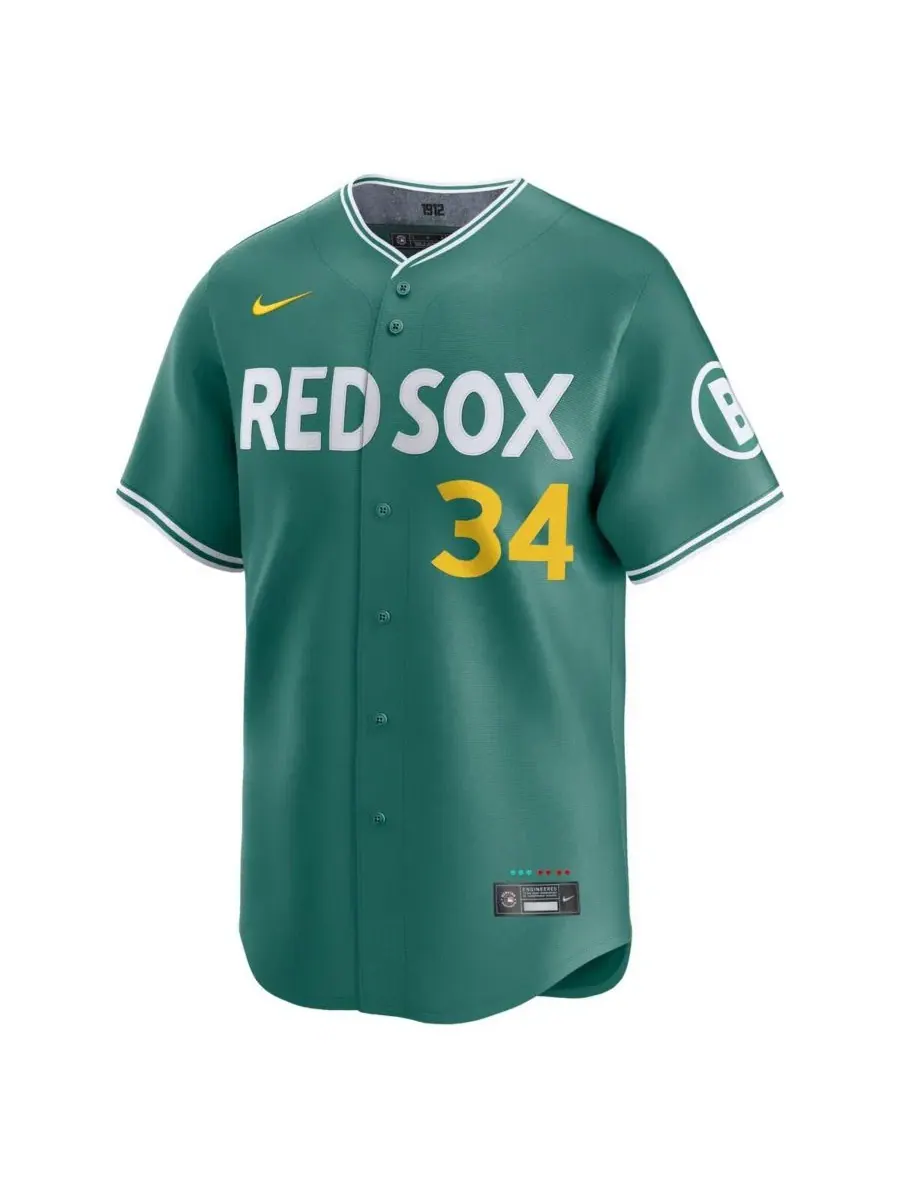 Мужская бейсбольная джерси Nike David Ortiz Green Boston Red Sox 2025 City Connect Limited Player — изображение 2 из 5