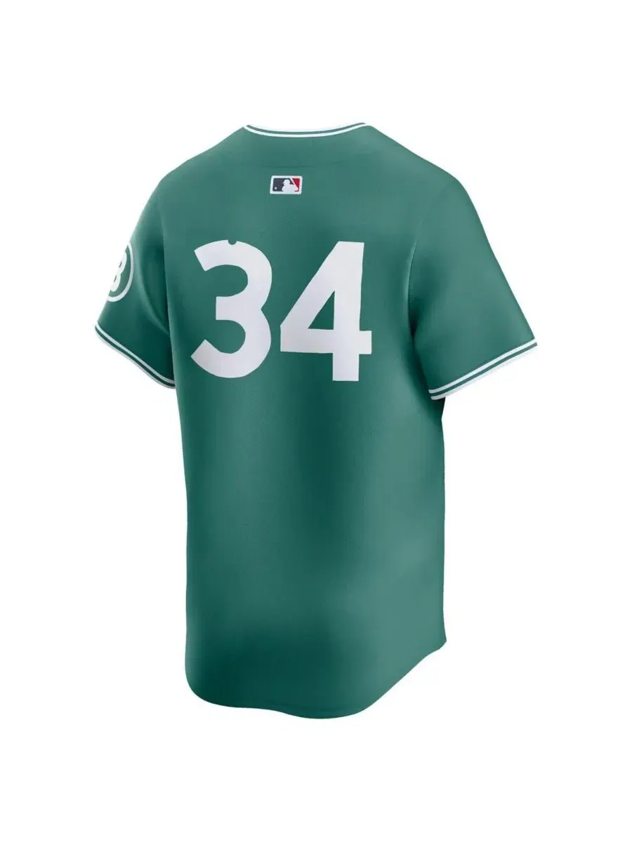 Мужская бейсбольная джерси Nike David Ortiz Green Boston Red Sox 2025 City Connect Limited Player — изображение 3 из 5