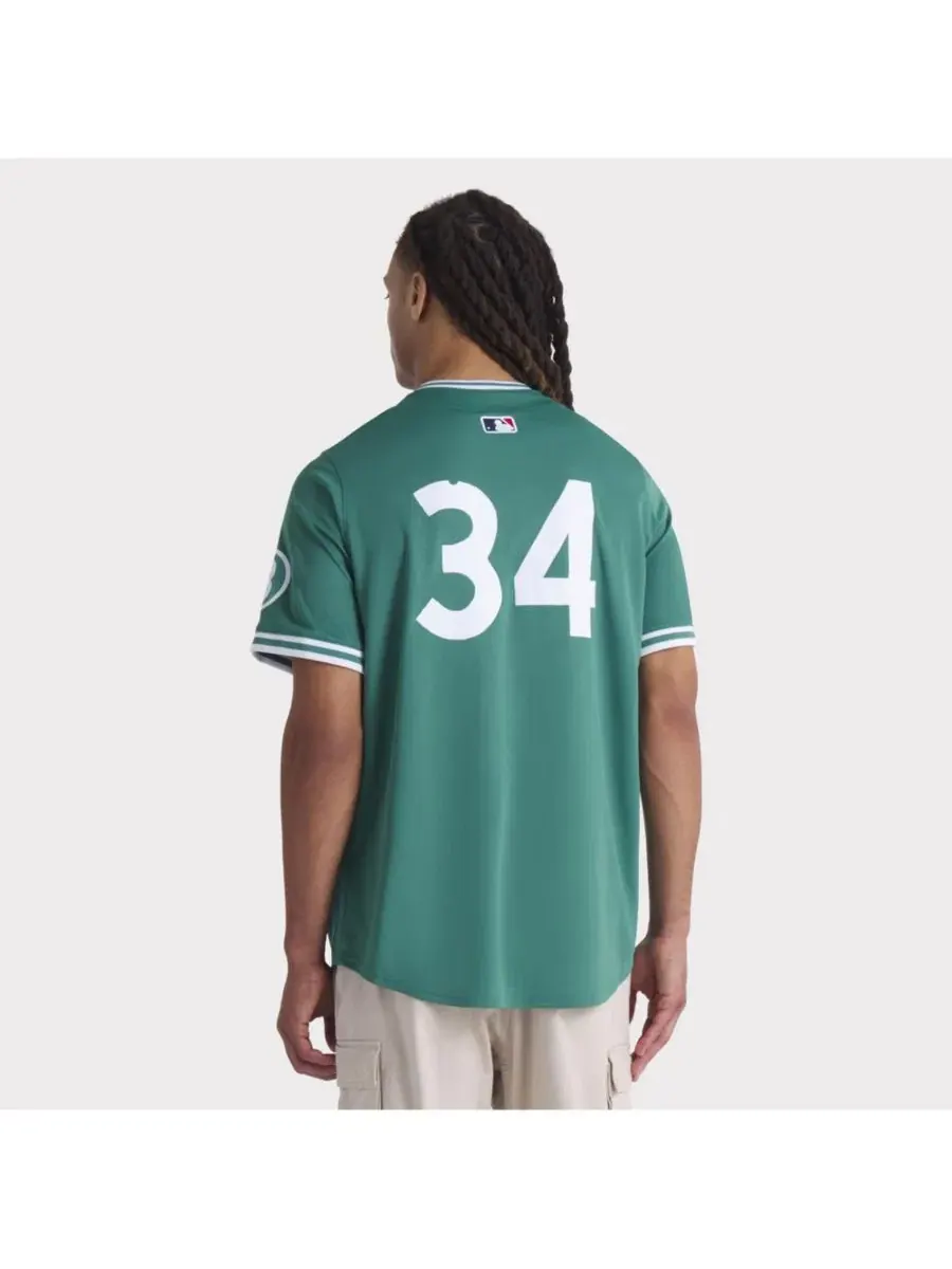 Мужская бейсбольная джерси Nike David Ortiz Green Boston Red Sox 2025 City Connect Limited Player — изображение 5 из 5