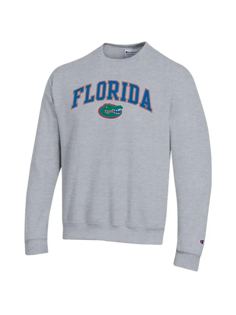 Champion Мужская толстовка-пуловер серого цвета с логотипом Florida Gators в виде арки — изображение 2 из 3, серый