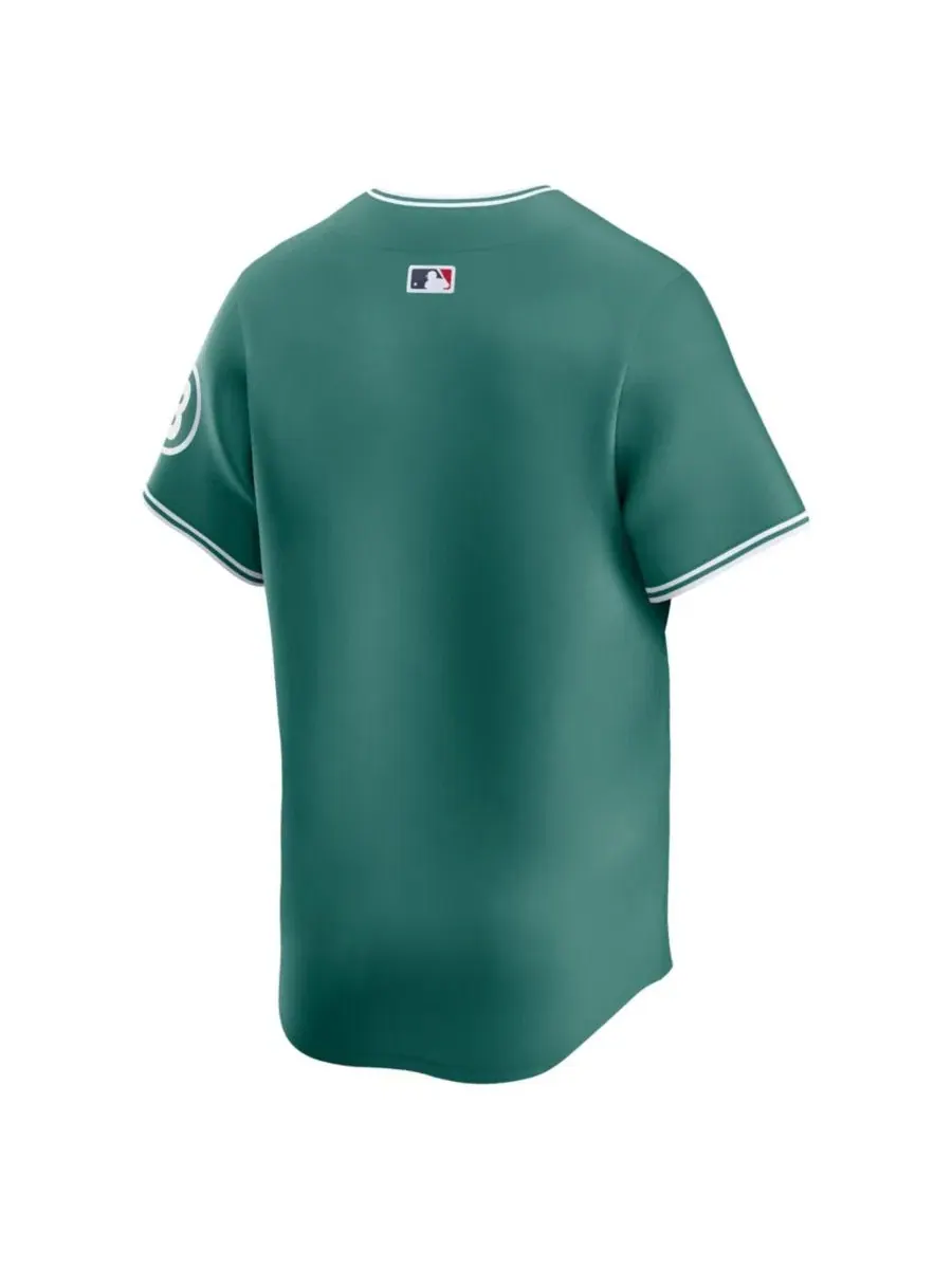 Мужская футболка Nike Boston Red Sox 2025 City Connect Limited — изображение 3 из 3, зеленый