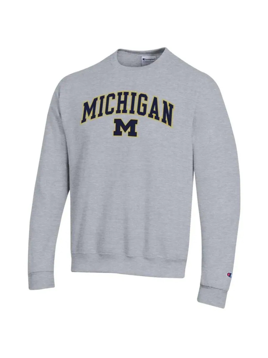 Champion Мужская толстовка-пуловер серого цвета с логотипом команды Michigan Wolverines в виде арки — изображение 3 из 3