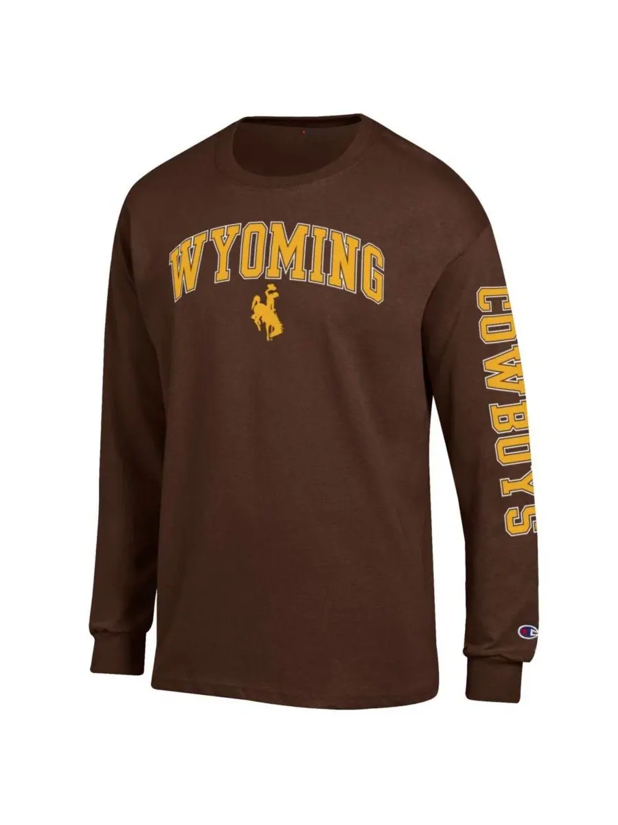 Футболка с длинным рукавом с принтом Arch Over Logo Wyoming Cowboys Champion — изображение 3 из 3, коричневый