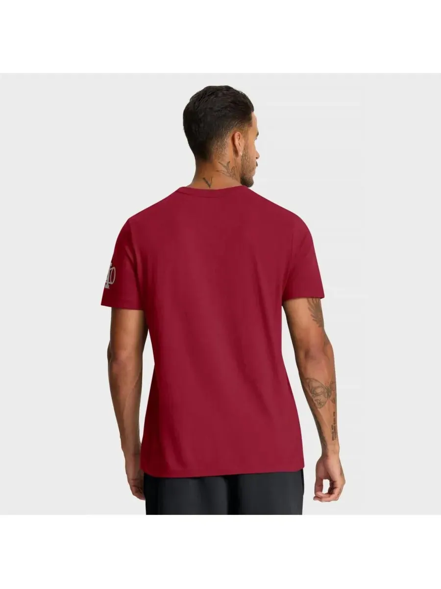 Nike Мужская футболка Crimson Alabama Crimson Tide Legacy Arch — изображение 2 из 5, красный