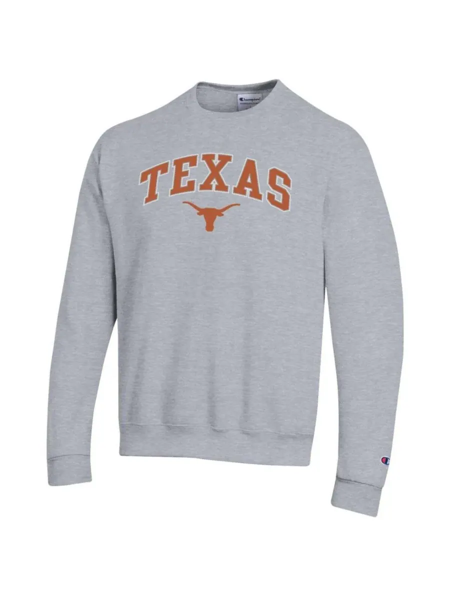 Champion Мужская толстовка-пуловер серого цвета с логотипом Texas Longhorns в виде арки — изображение 2 из 3, серый