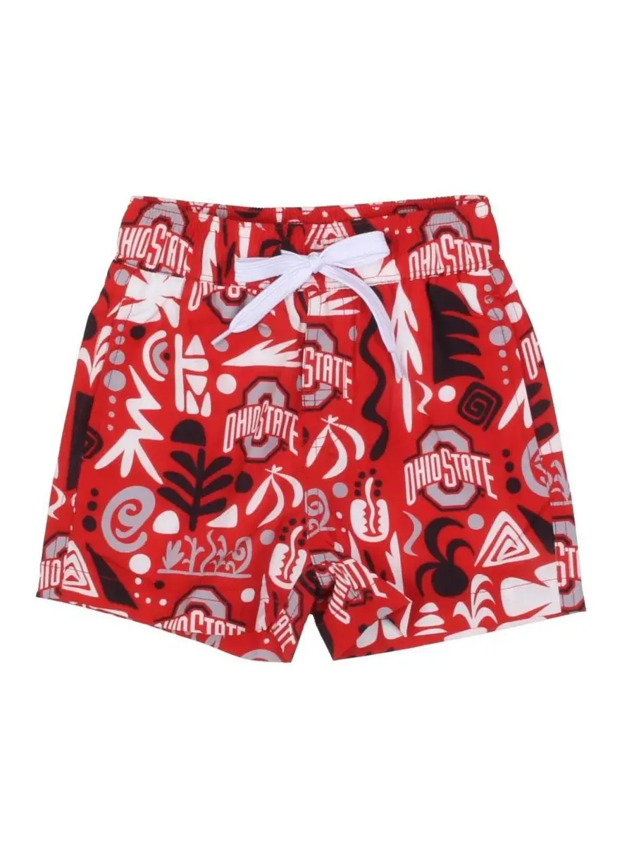 Детские плавательные шорты алого цвета с принтом команды Ohio State Buckeyes Wes & Willy, алый