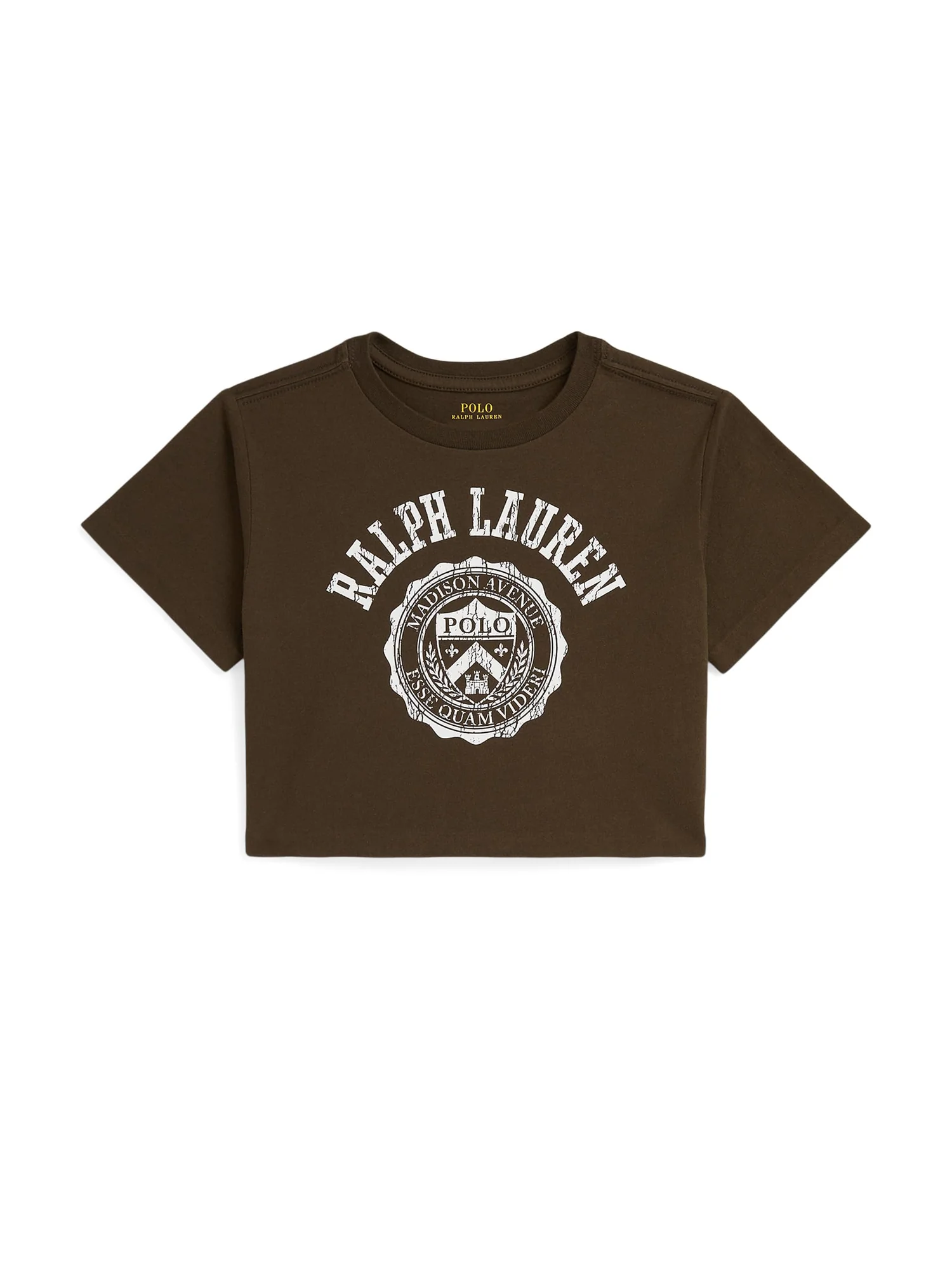Футболка Polo Ralph Lauren Kids Logo Crest Cotton Jersey Boxy Tee — коричневый