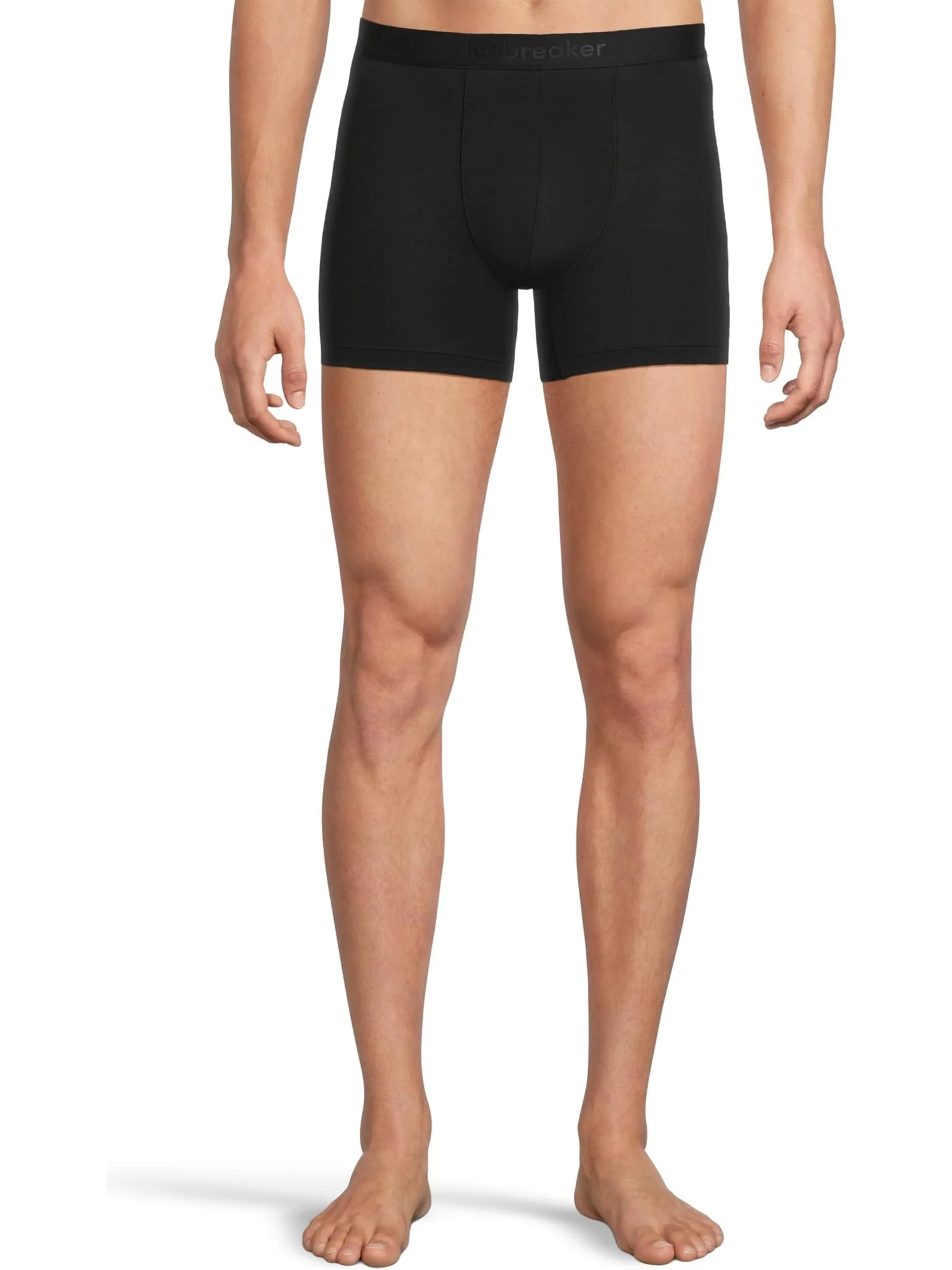 Мужские боксеры Anatomica из мериносовой шерсти 125 Cool-Lite Icebreaker — 1