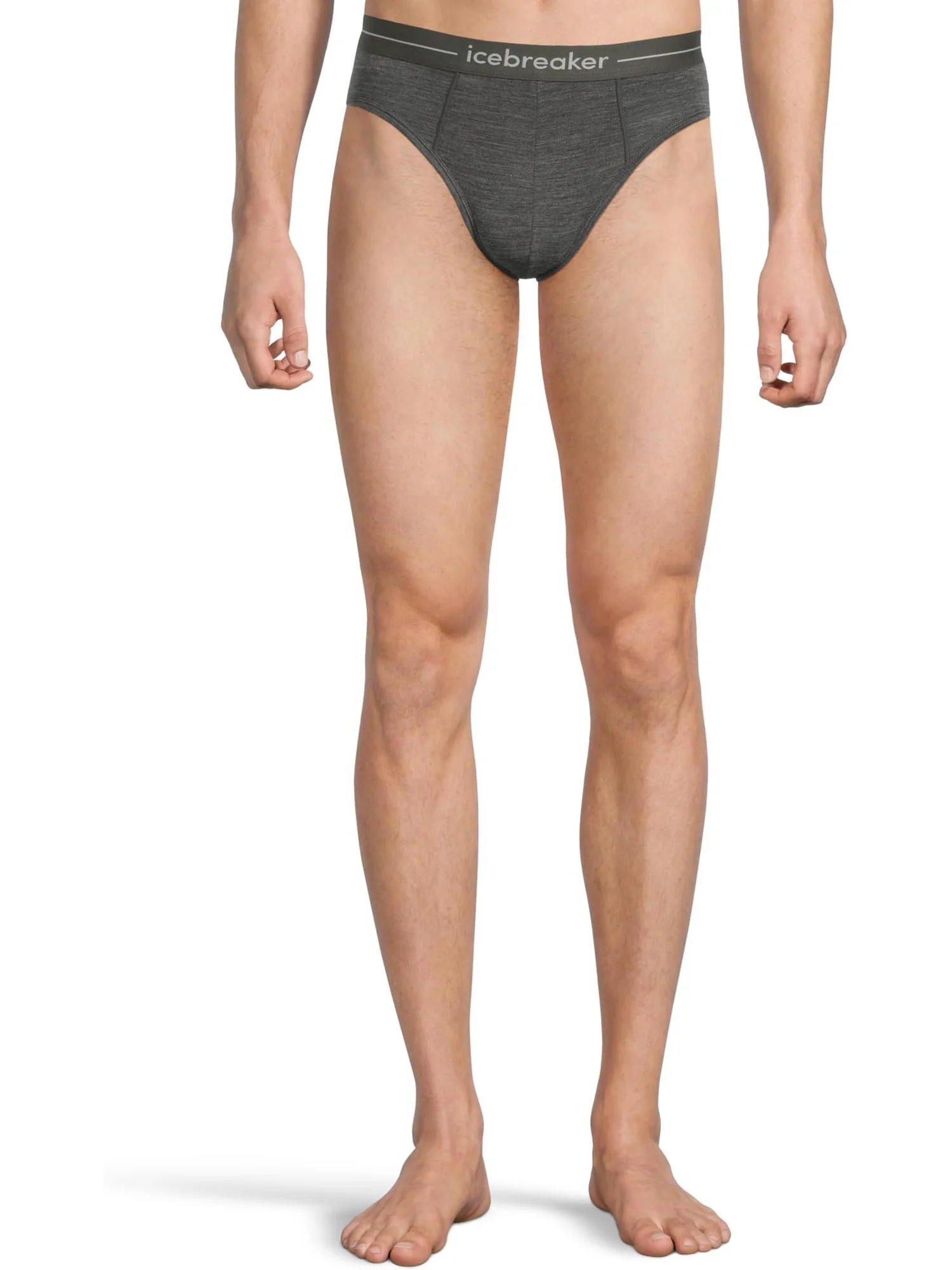 Трусы Icebreaker Merino 150 Anatomica Briefs — 1