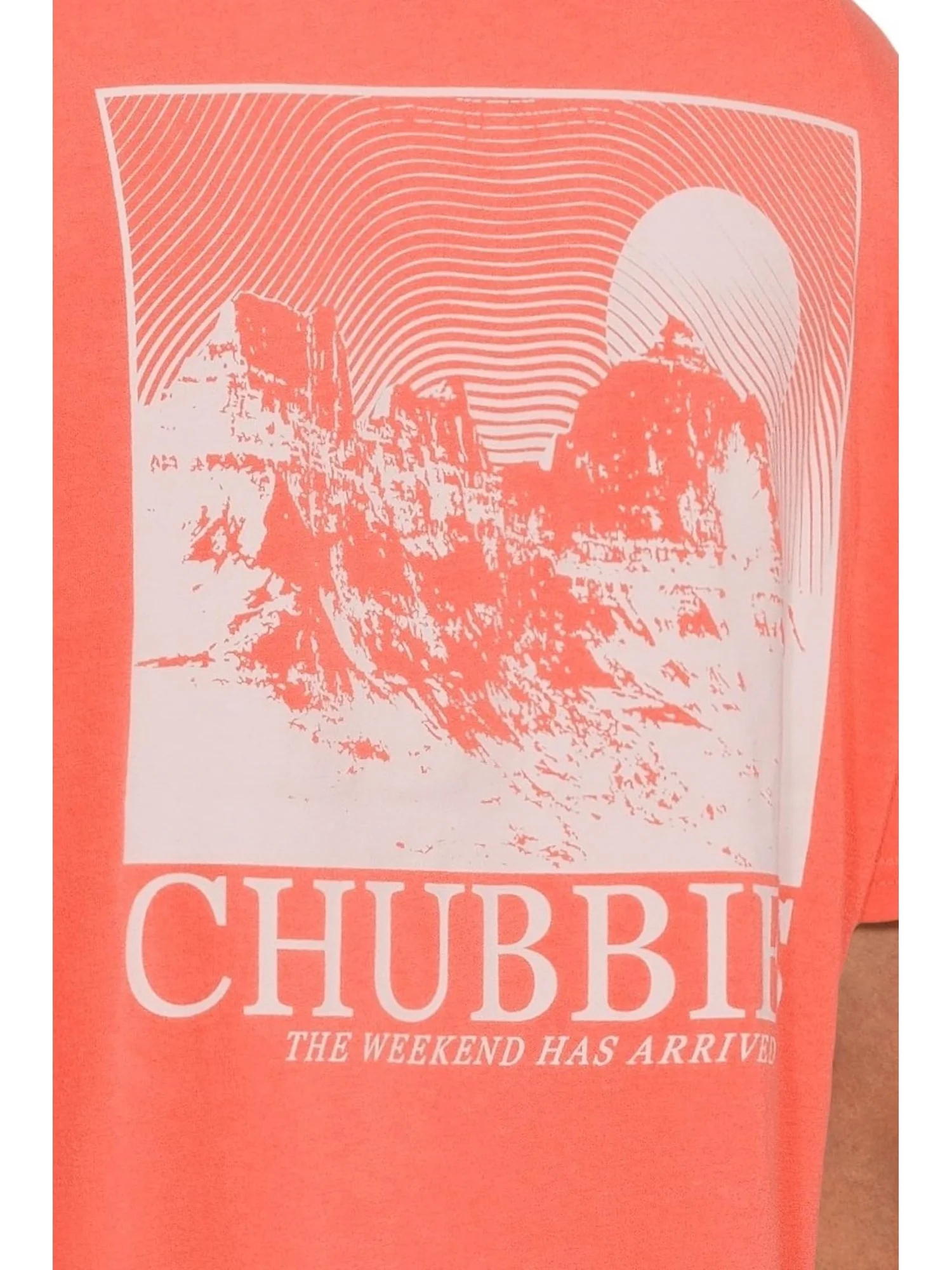 Футболка Chubbies The Self Motivator — 4