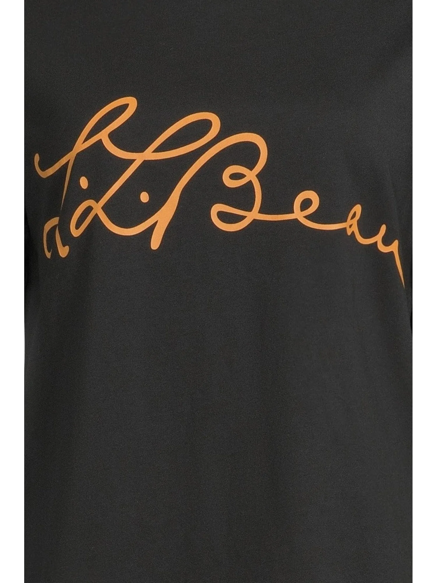Футболка L.L.Bean Signature Premium Essential Novelty Short Sleeve Tee — 4