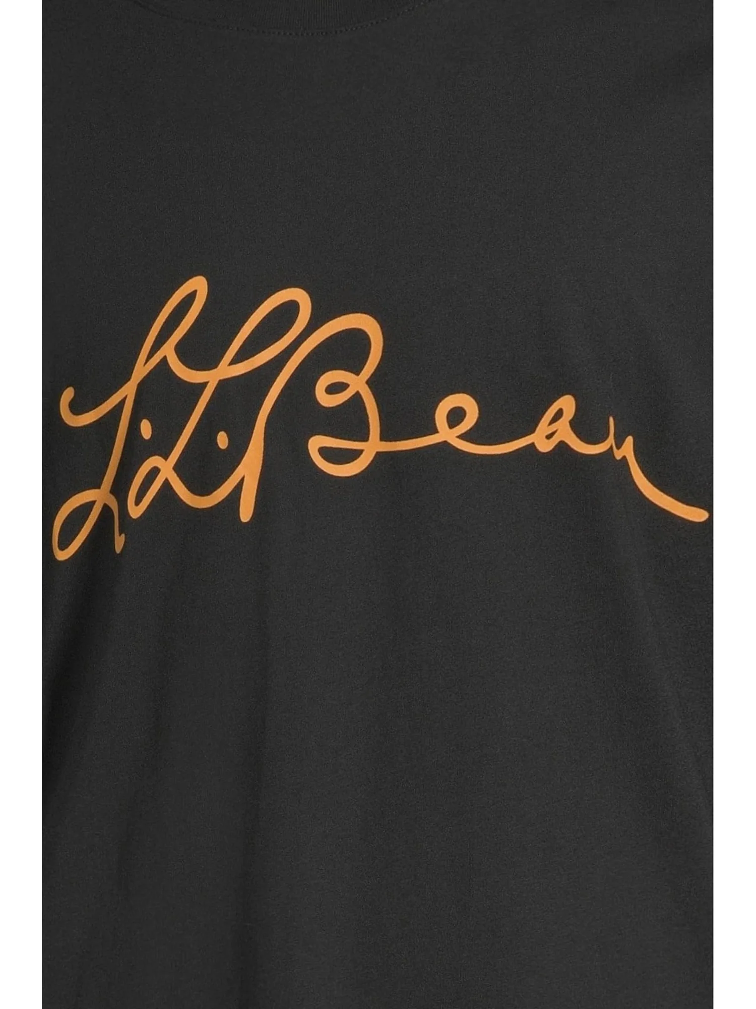 Футболка L.L.Bean Signature Premium Essential Graphic Tee, Short Sleeve — 4