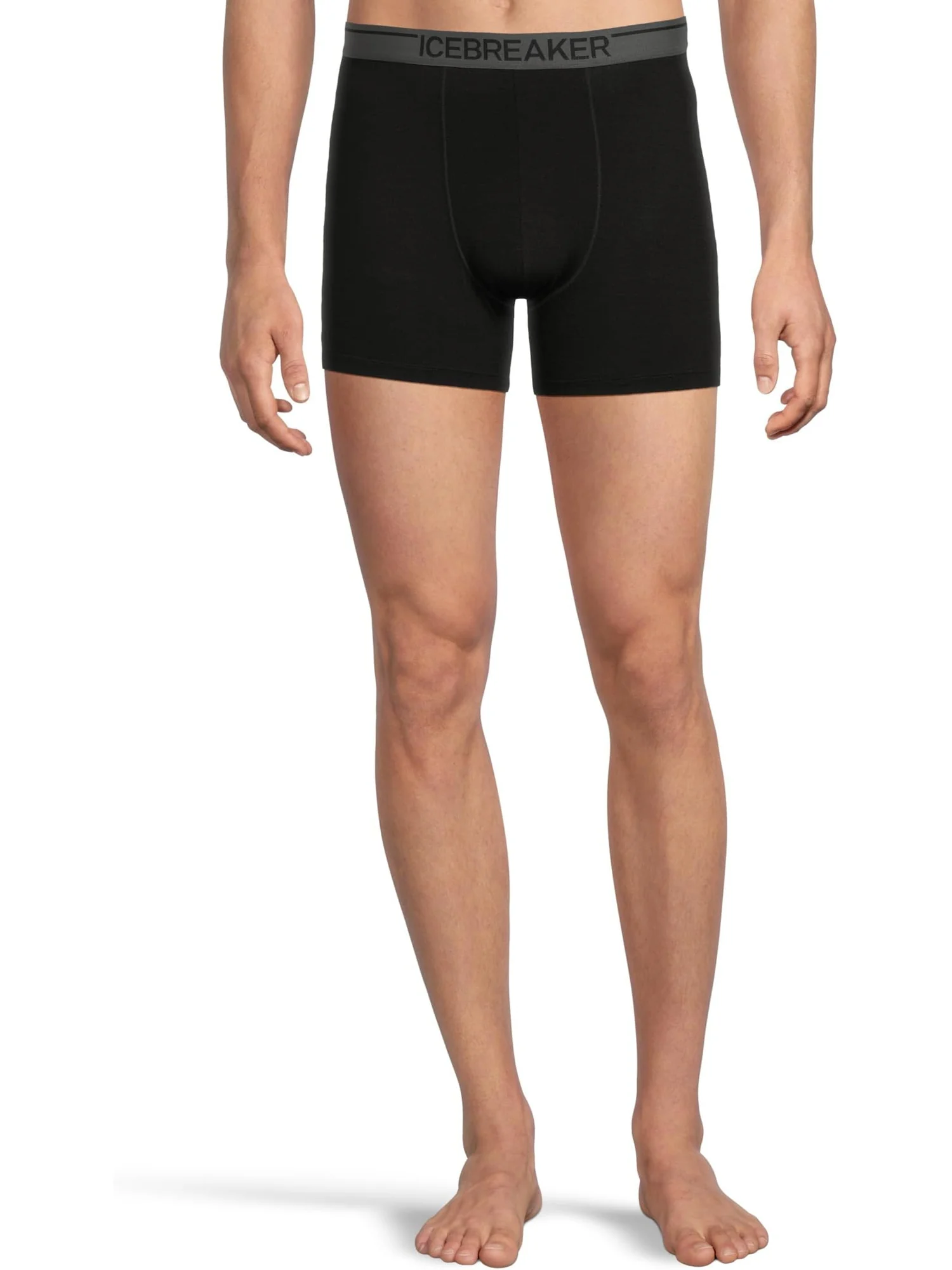 Мужские боксеры Merino 150 Anatomica Icebreaker — 1