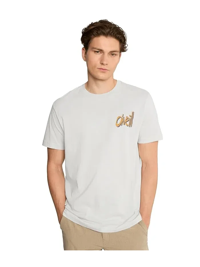 Футболка O'Neill Bomb It Short Sleeve Classic Tee — серый