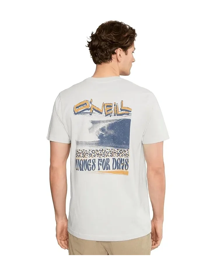 Футболка O'Neill Bomb It Short Sleeve Classic Tee — 4