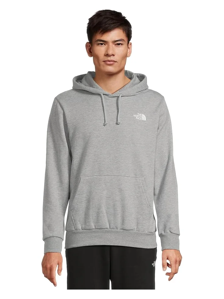 Мужская худи The North Face Evolution Box Toss Fill Hoodie Graphic — изображение 1 из 5, бледный серый
