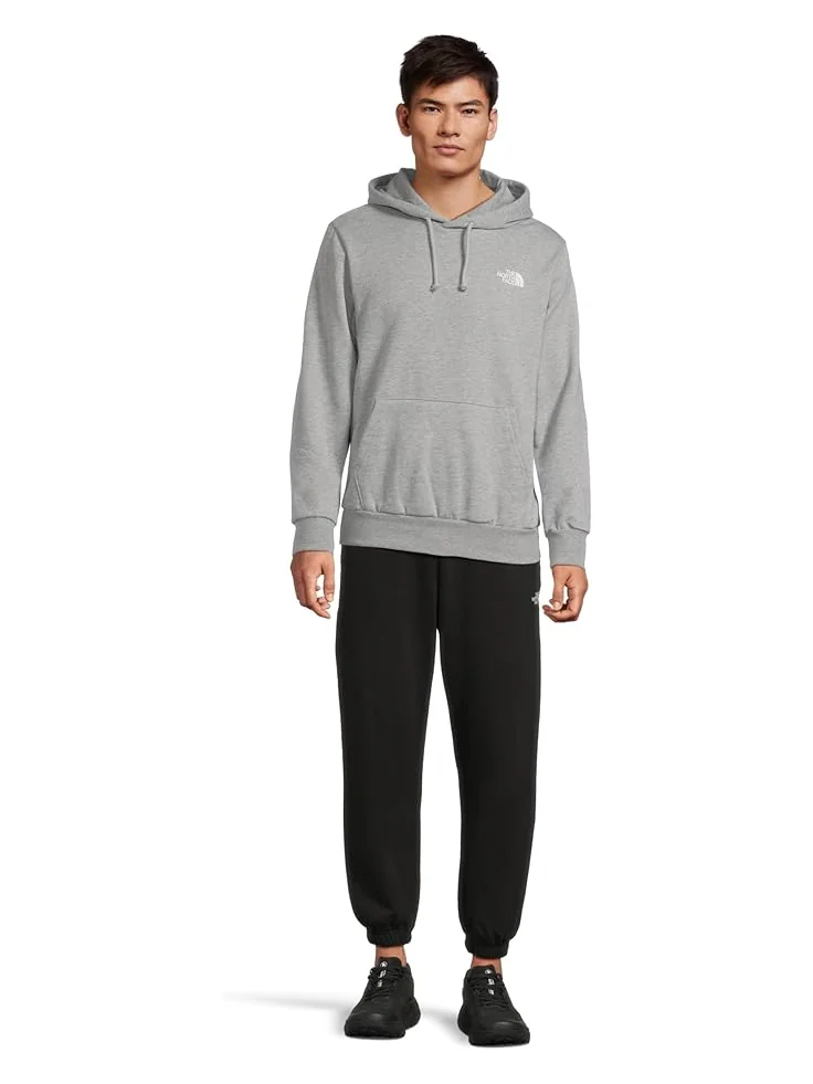 Мужская худи The North Face Evolution Box Toss Fill Hoodie Graphic — изображение 5 из 5, бледный серый
