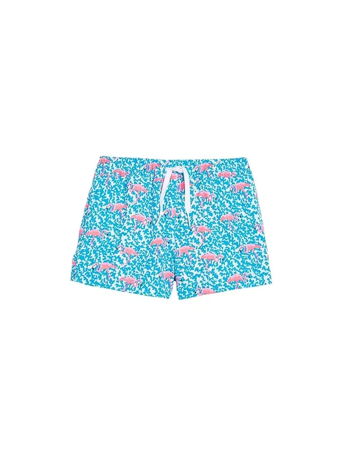 Плавки для мальчиков The Domingos Are For Flamingos с фламинго Chubbies Kids
