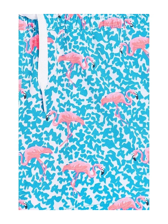 Плавки для мальчиков The Domingos Are For Flamingos с фламинго Chubbies Kids — изображение 3 из 3, яркий синий