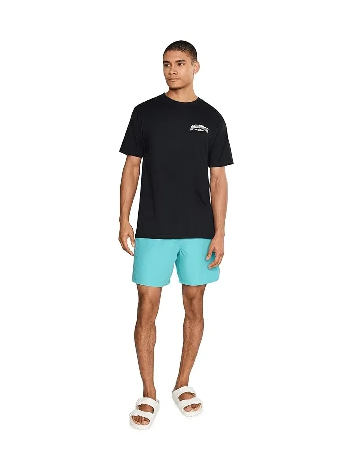 Плавки Everyday Solid Volley 17 Quiksilver — изображение 2 из 5, голубой