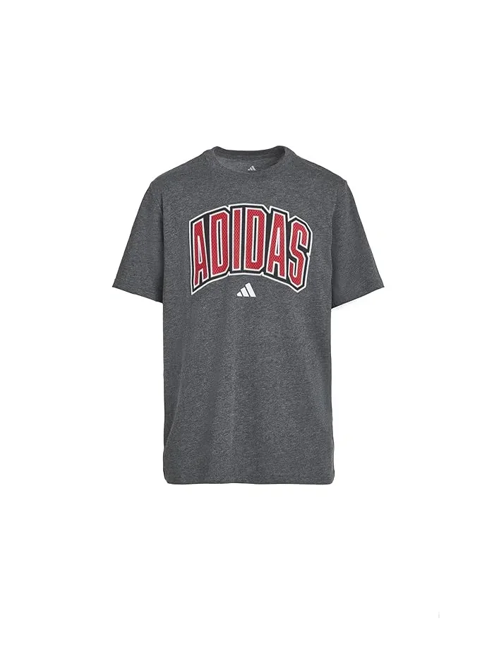 Футболка Collegiate Arch Heather Tee Adidas Kids