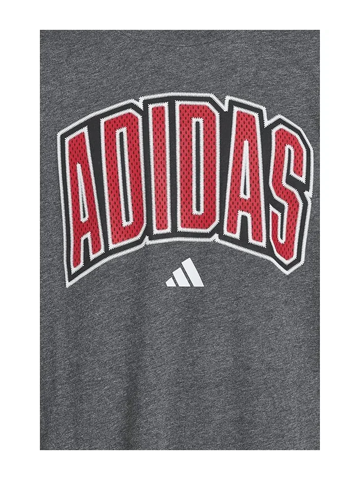 Футболка Collegiate Arch Heather Tee Adidas Kids — изображение 3 из 3, темный серый