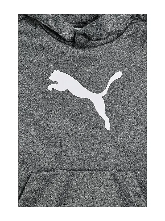 Худи PUMA Logo — изображение 3 из 3, темно-серый