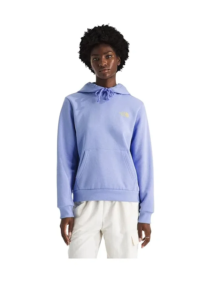 Худи The North Face Explore Pin Regular Hoodie