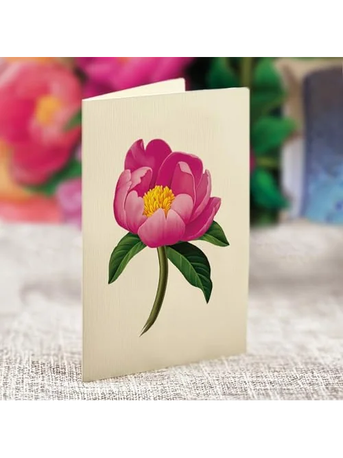 Freshcut Paper объёмная открытка-букет «Пионы», 33 см — изображение 6 из 6, розовый