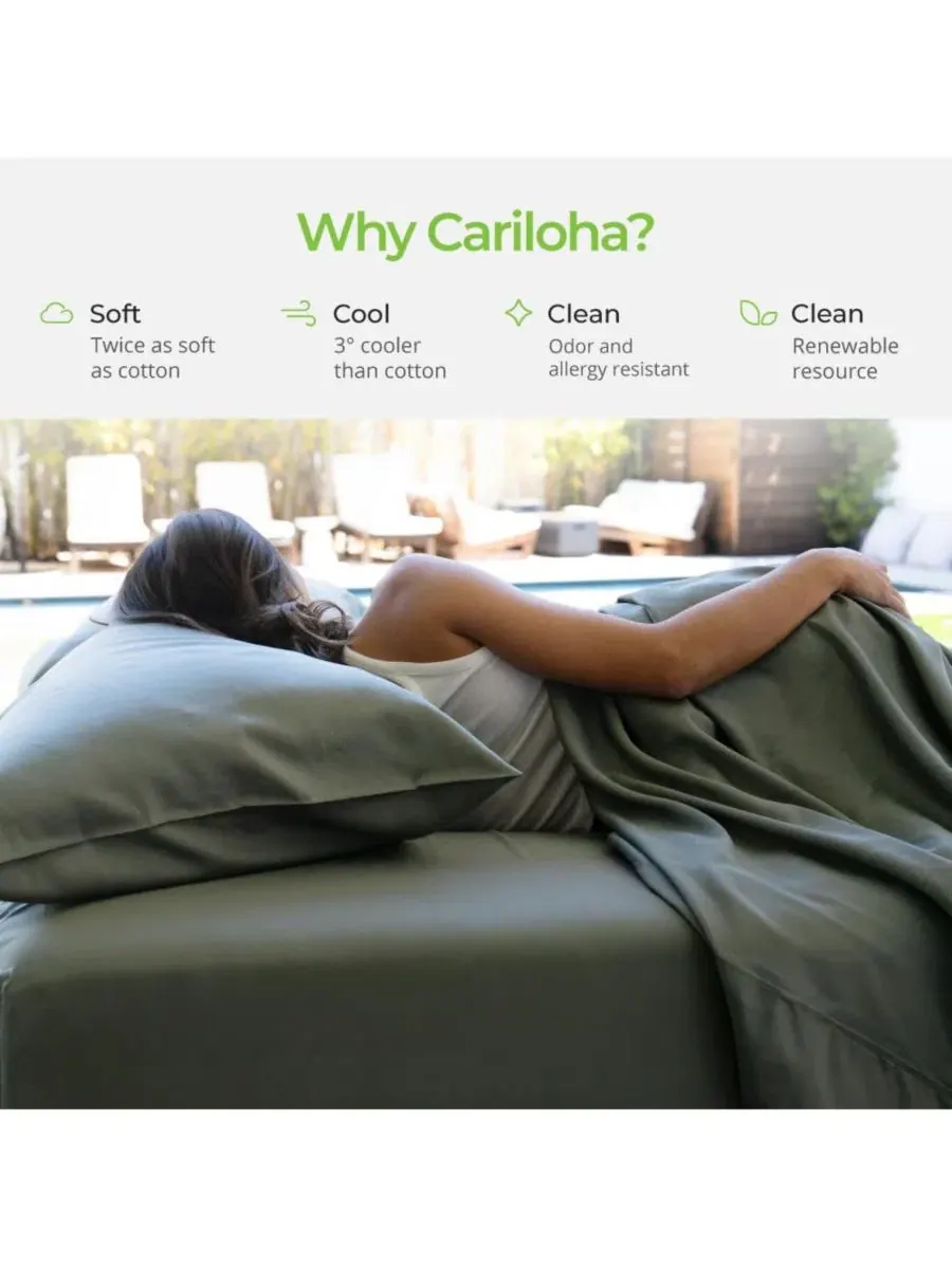 Комплект постельного белья Cariloha Classic из 100% вискозы, 4 предмета, King, с принтом — изображение 4 из 4, шалфейный