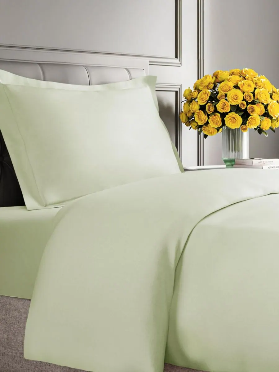 Плед из микроплюша с флисовой подкладкой CGK Unlimited, Light sage green, Twin — изображение 1 из 6, светлый зеленый