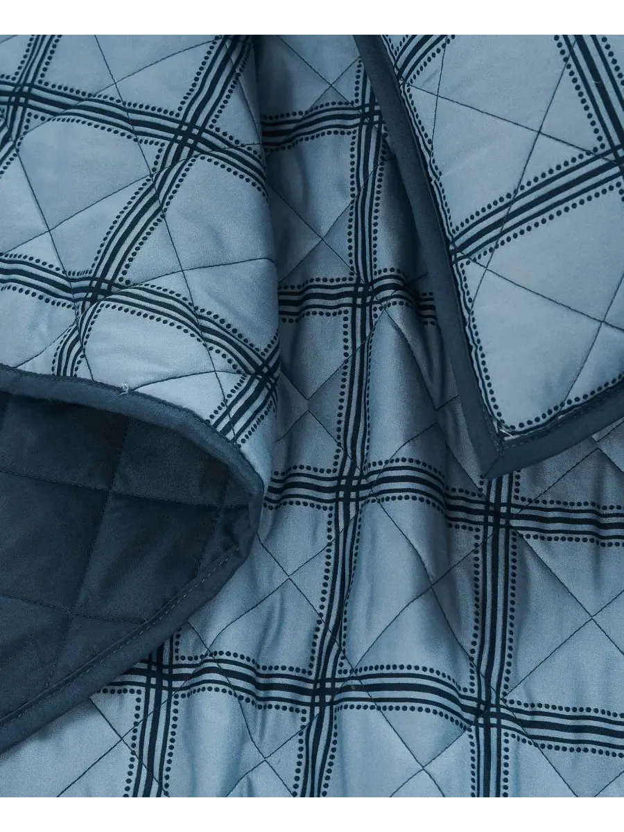 Комплект стеганого покрывала Luka Grid Plaid 2-Piece, Twin/Twin XL Cannon — изображение 5 из 5, синий