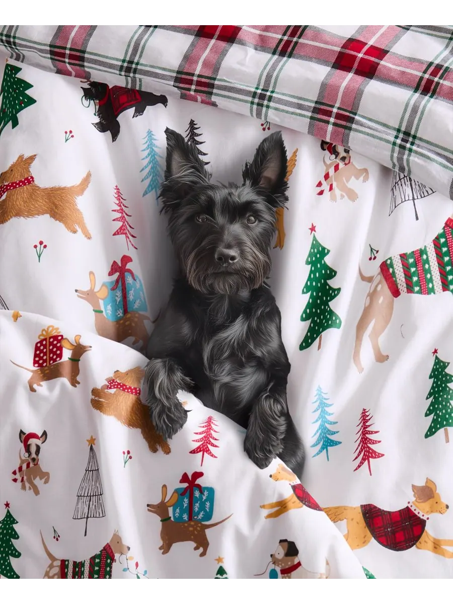 Комплект постельного белья Home Jingle Paws, 3 предмета, двусторонний, размер King Levtex — изображение 2 из 6, мульти