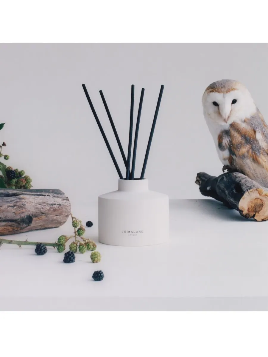 Диффузор Wild Berry & Bramble Townhouse, 11,8 унций Jo Malone London, — изображение 4 из 4, нет цвета