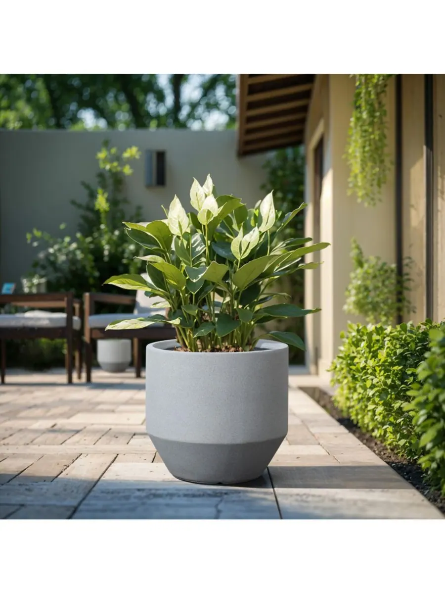 LuxenHome Минималистичный современный серый круглый конусообразный горшок из оксида магния высотой — изображение 2 из 8