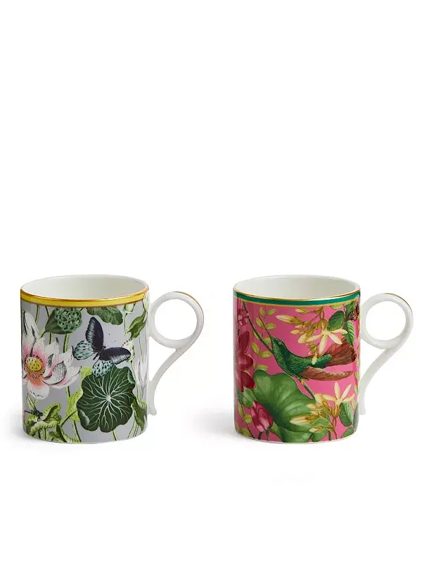 Кружка Wonderlust маленькая, набор из 2 штук Wedgwood — мульти