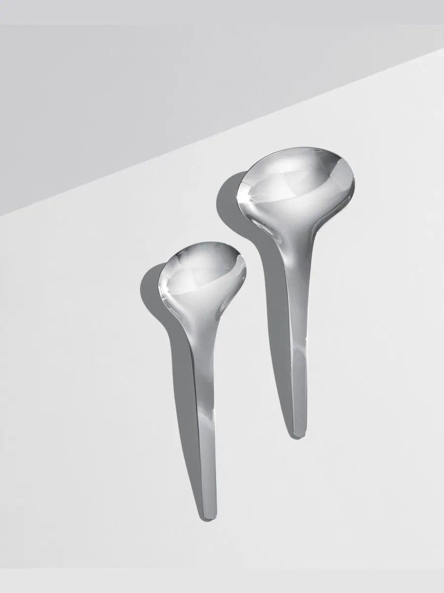 Набор сервировочных ложек Bloom, 2 штуки Georg Jensen — изображение 2 из 2, серебряный