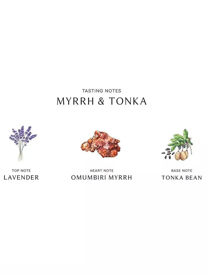 Диффузор мирры и тонки, 5,6 унций Jo Malone London — изображение 2 из 4, нет цвета