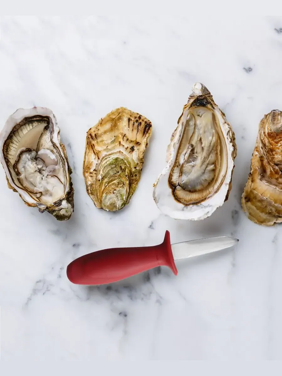 Набор из 4 ножей для устриц "Maine Man" Maine Man Seafood — изображение 5 из 5, красный