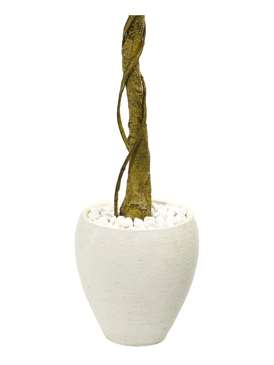 Искусственное фикусовое дерево высотой 1,6 м (5,5 футов) в белом овальном кашпо, устойчивое к — изображение 3 из 3, зеленый