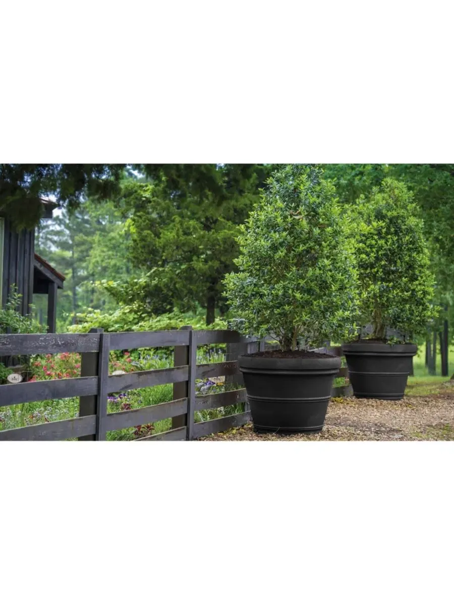 BC2614SC94 Круглый пластиковый садовый горшок Turin, черный, 36 см Garden Elements — изображение 3 из 3