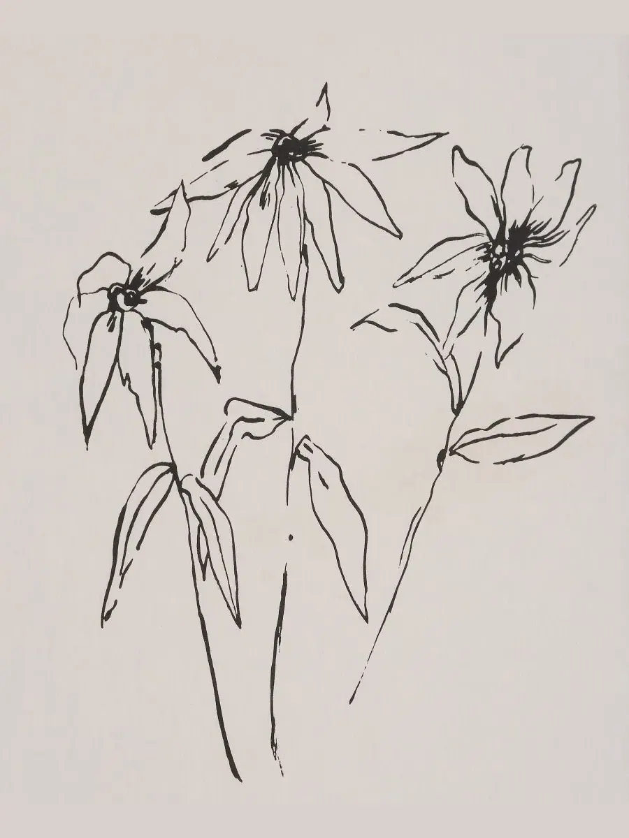 Набор настенного декора Palmela из 4 предметов Ren Wil — изображение 15 из 20, белый